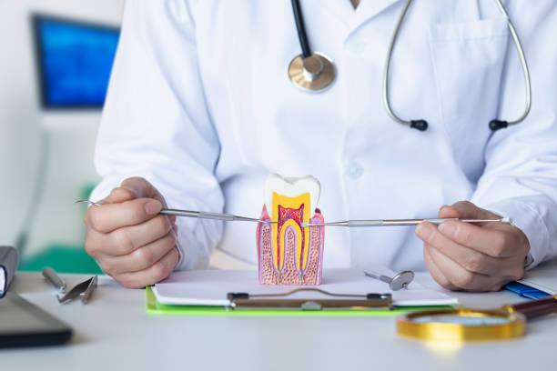 Best Weekend Emergency Dental Services in Golden Triangle, NJ